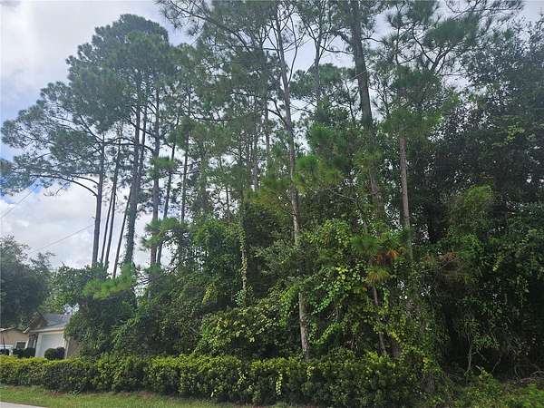 0.28 Acres of Residential Land for Sale in Palm Coast, Florida