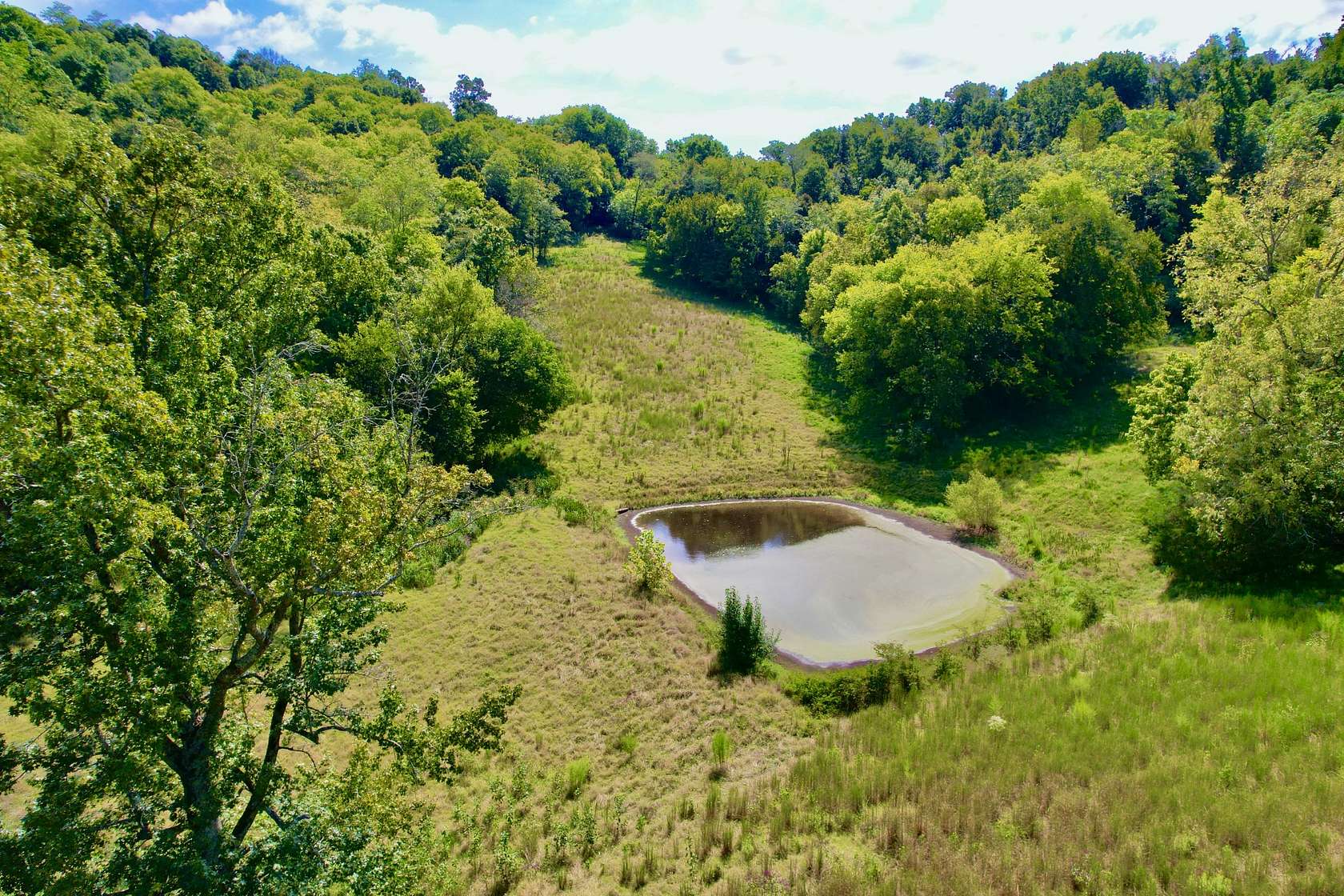 35 Acres of Land for Sale in Pulaski, Tennessee
