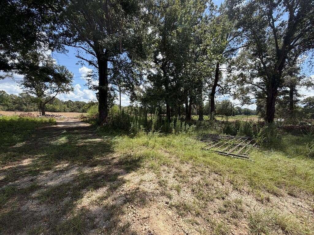 17.5 Acres of Recreational & Residential Land for Sale in San Augustine, Texas