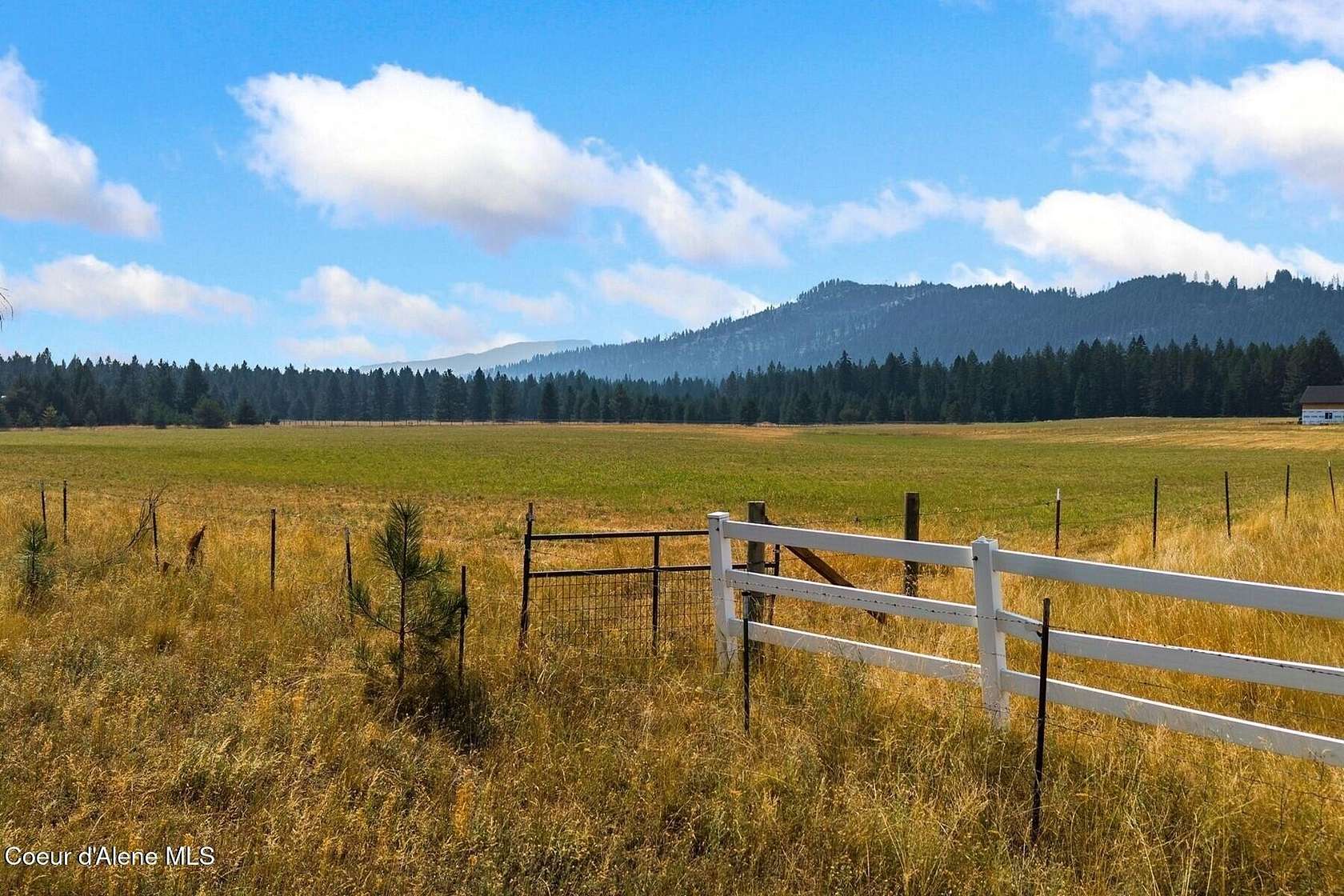 10.4 Acres of Land for Sale in Priest River, Idaho