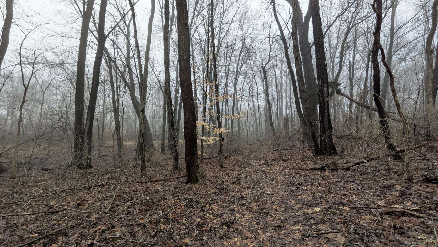 28.8 Acres of Recreational Land for Sale in Willis, Michigan