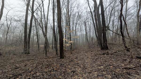 28.8 Acres of Recreational Land for Sale in Willis, Michigan