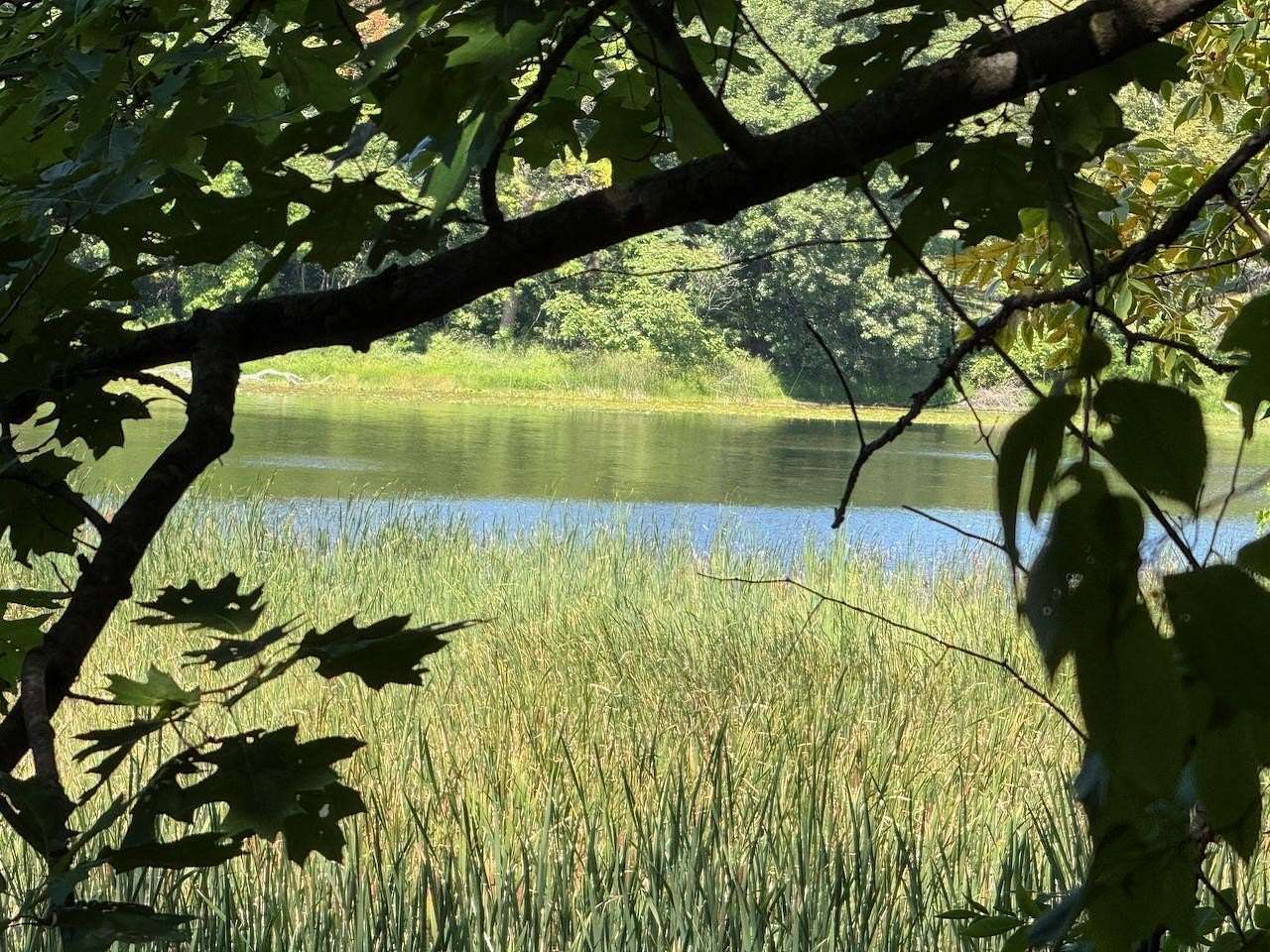 0.85 Acres of Land for Sale in Browerville, Minnesota