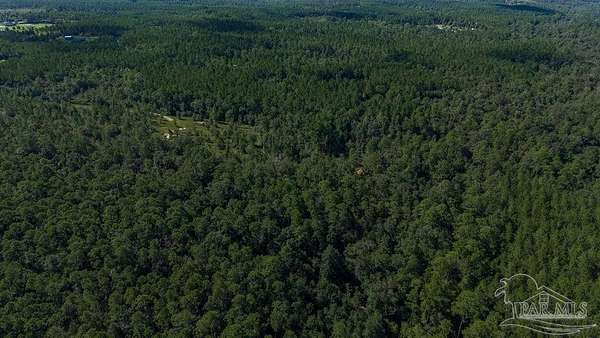 18.7 Acres of Land for Sale in Pace, Florida