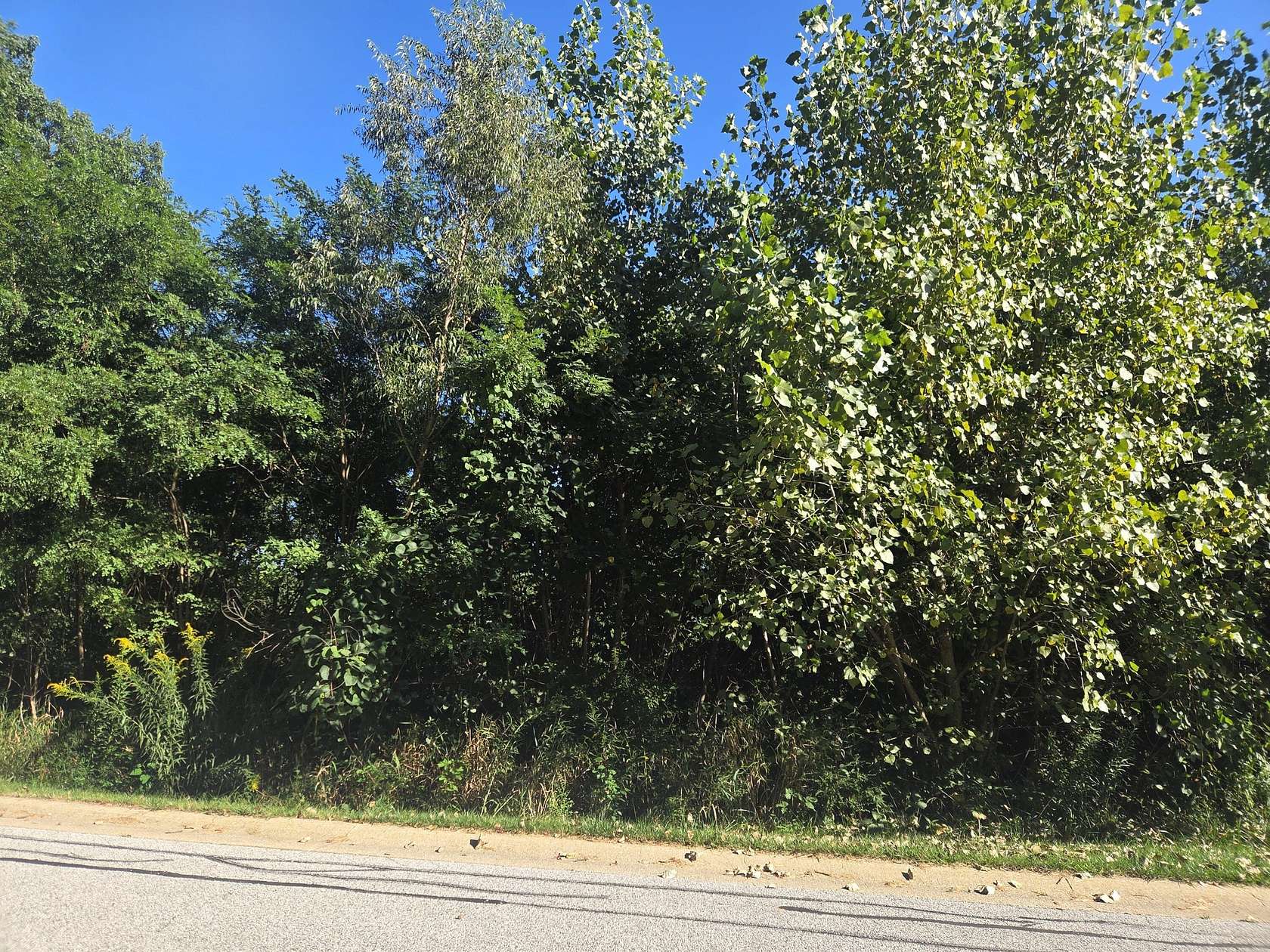 0.34 Acres of Residential Land for Sale in Crown Point, Indiana