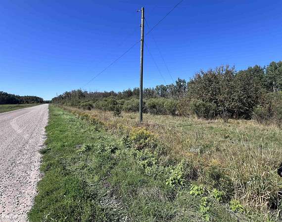 40 Acres of Recreational & Residential Land for Sale in Goetzville, Michigan