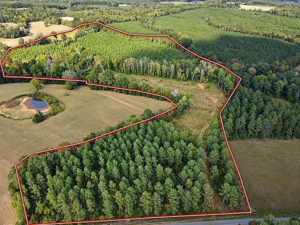 36 Acres of Recreational & Residential Land for Sale in Nelson, Virginia