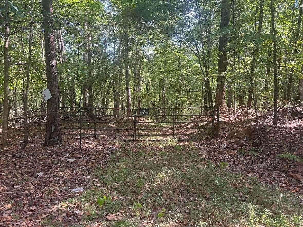 Land for Sale in Oakman, Alabama