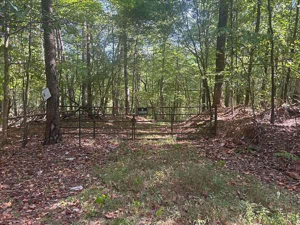 Land for Sale in Oakman, Alabama