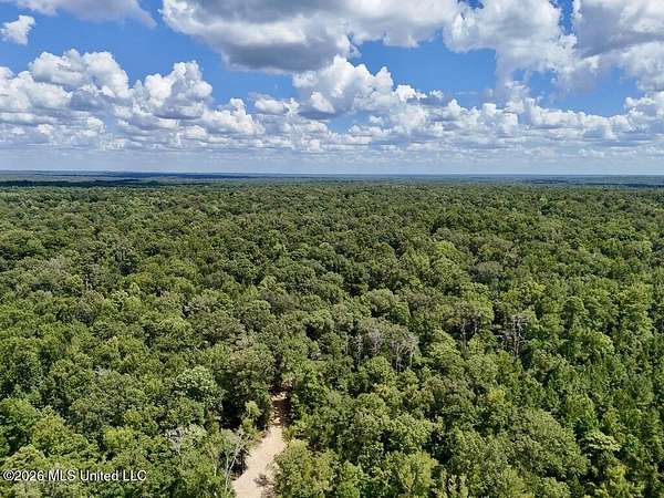 1,274 Acres of Recreational & Residential Land for Sale in Utica, Mississippi