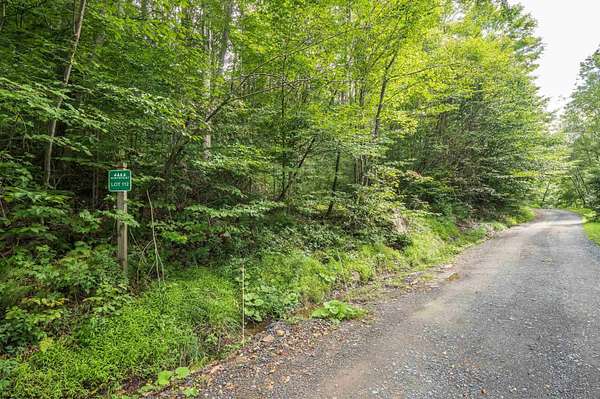 0.69 Acres of Residential Land for Sale in Davis, West Virginia