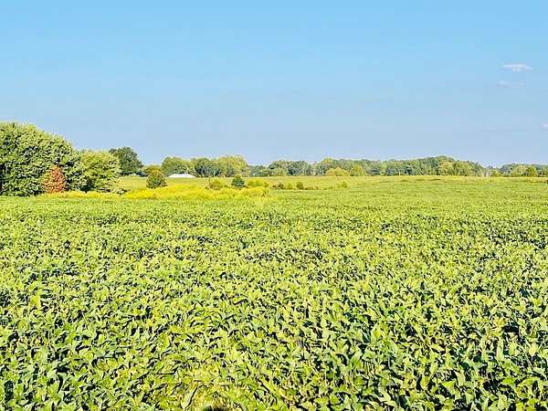 7.6 Acres of Land for Auction in Windsor, Kentucky