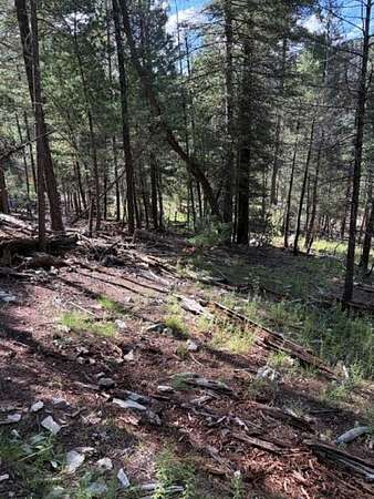 0.57 Acres of Residential Land for Sale in Cloudcroft, New Mexico