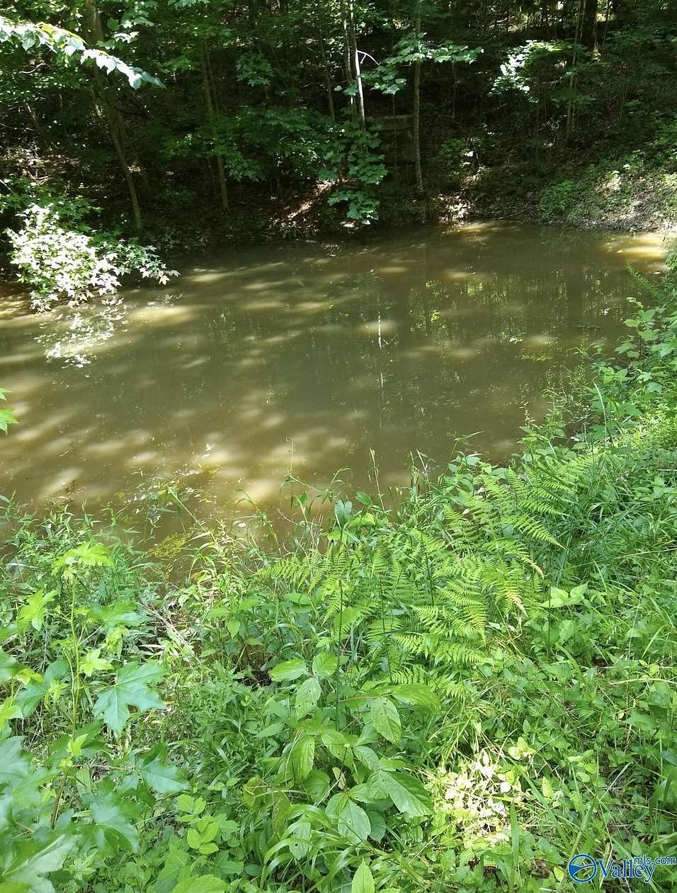 15.6 Acres of Recreational & Residential Land for Sale in Grant, Alabama