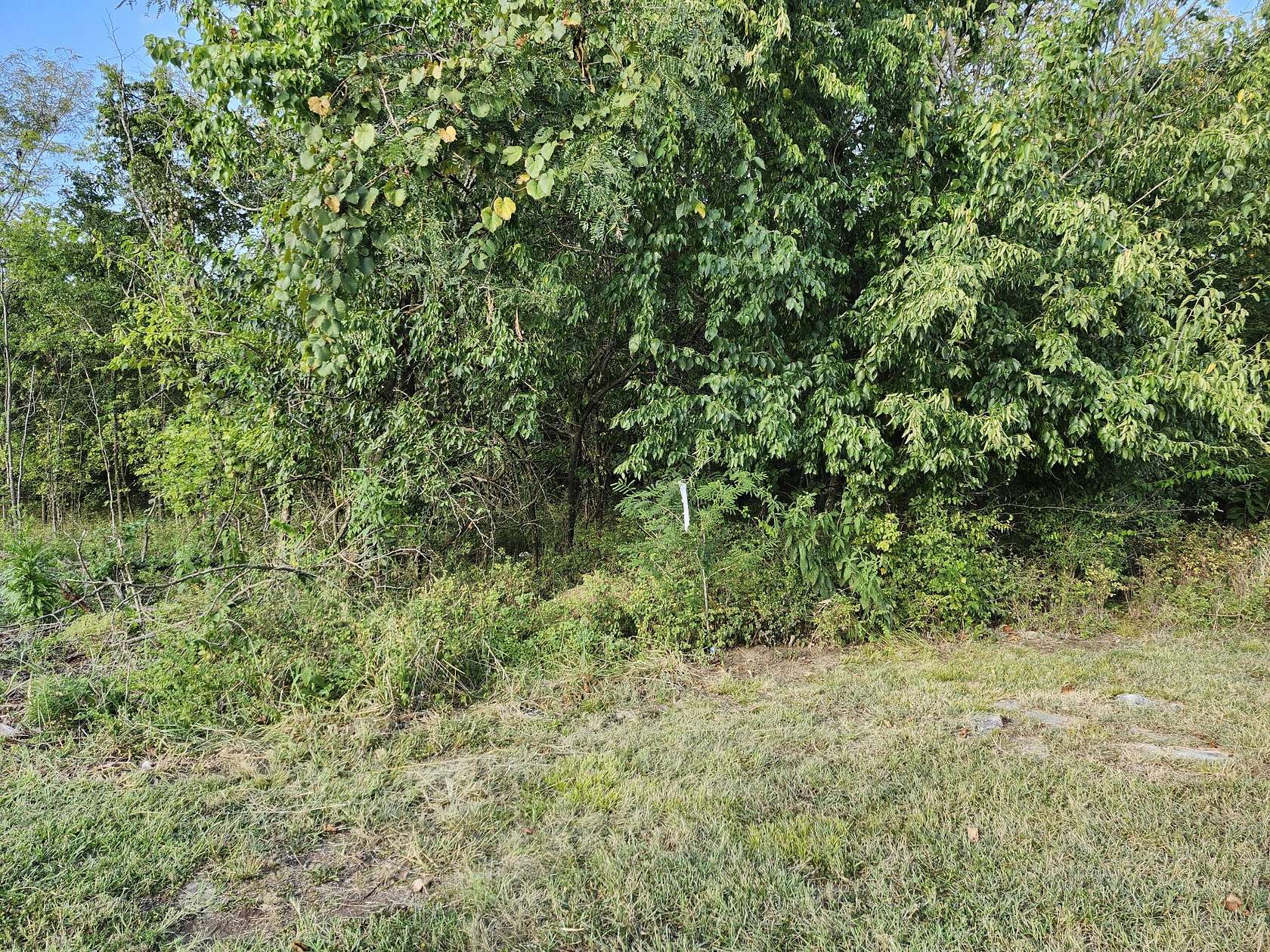 5.35 Acres of Land for Sale in Nolensville, Tennessee