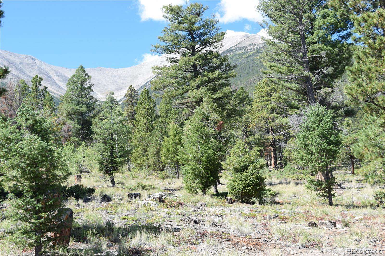 40 Acres of Recreational Land for Sale in Buena Vista, Colorado
