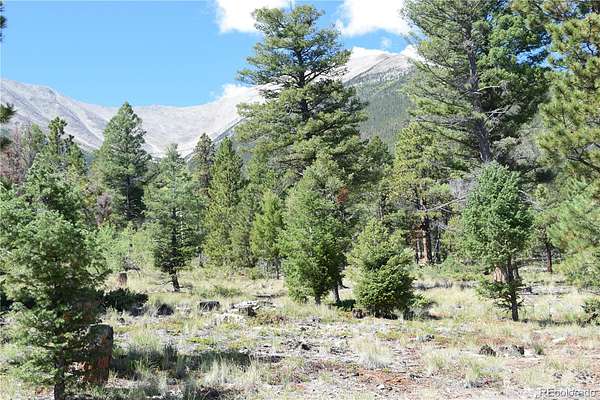 40 Acres of Recreational Land for Sale in Buena Vista, Colorado