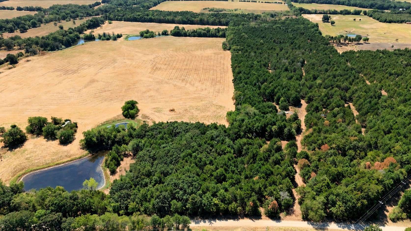 25.1 Acres of Recreational & Residential Land for Sale in Savoy, Texas