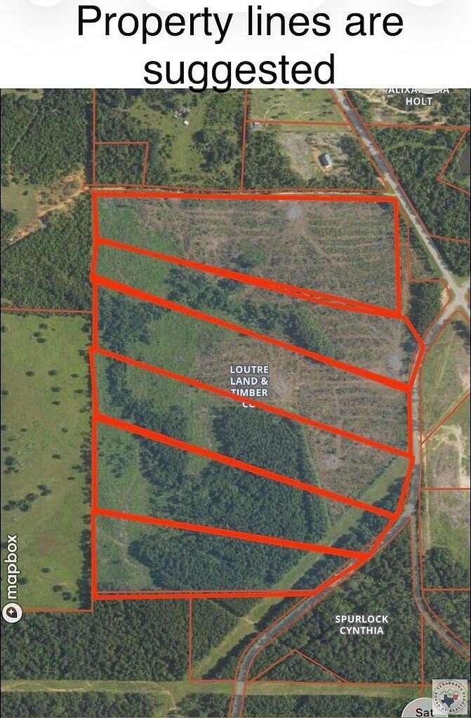 20 Acres of Land for Sale in Bloomburg, Texas