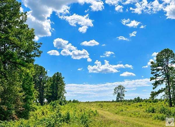 20 Acres of Land for Sale in Bloomburg, Texas
