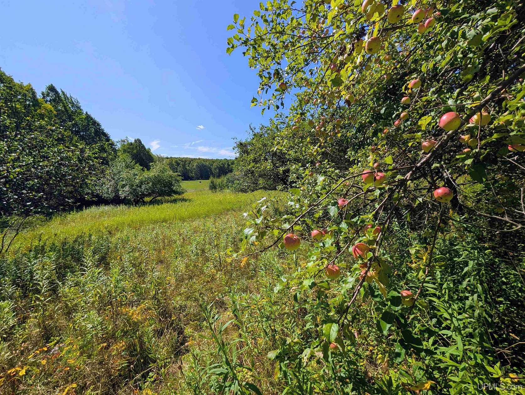 34 Acres of Land for Sale in Iron River, Michigan