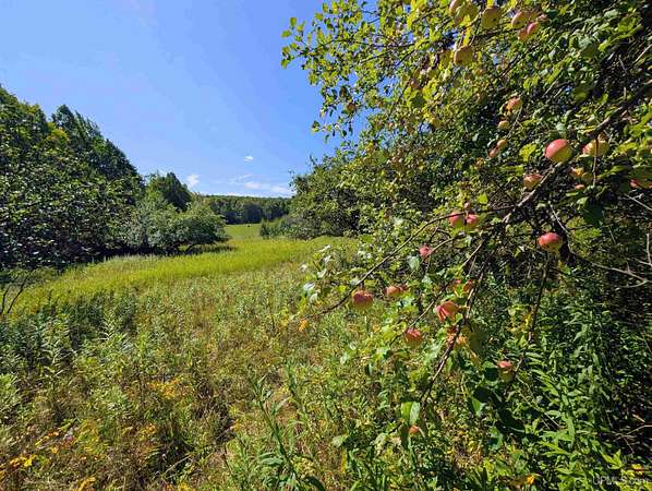 34 Acres of Land for Sale in Iron River, Michigan