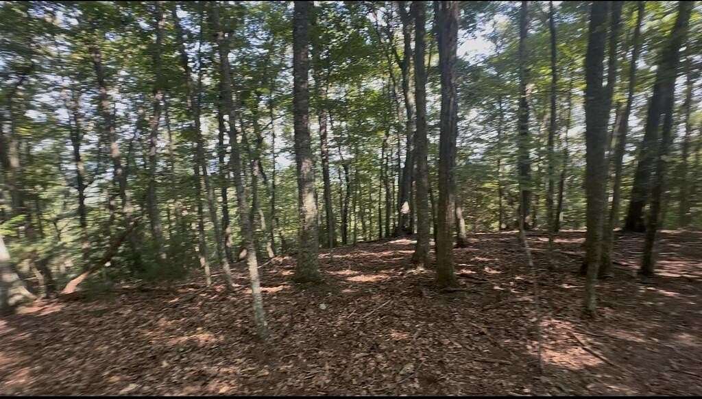 5 Acres of Residential Land for Sale in Mineral Bluff, Georgia