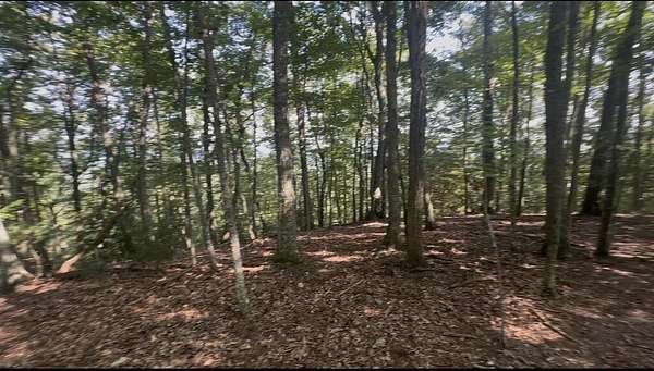5 Acres of Residential Land for Sale in Mineral Bluff, Georgia
