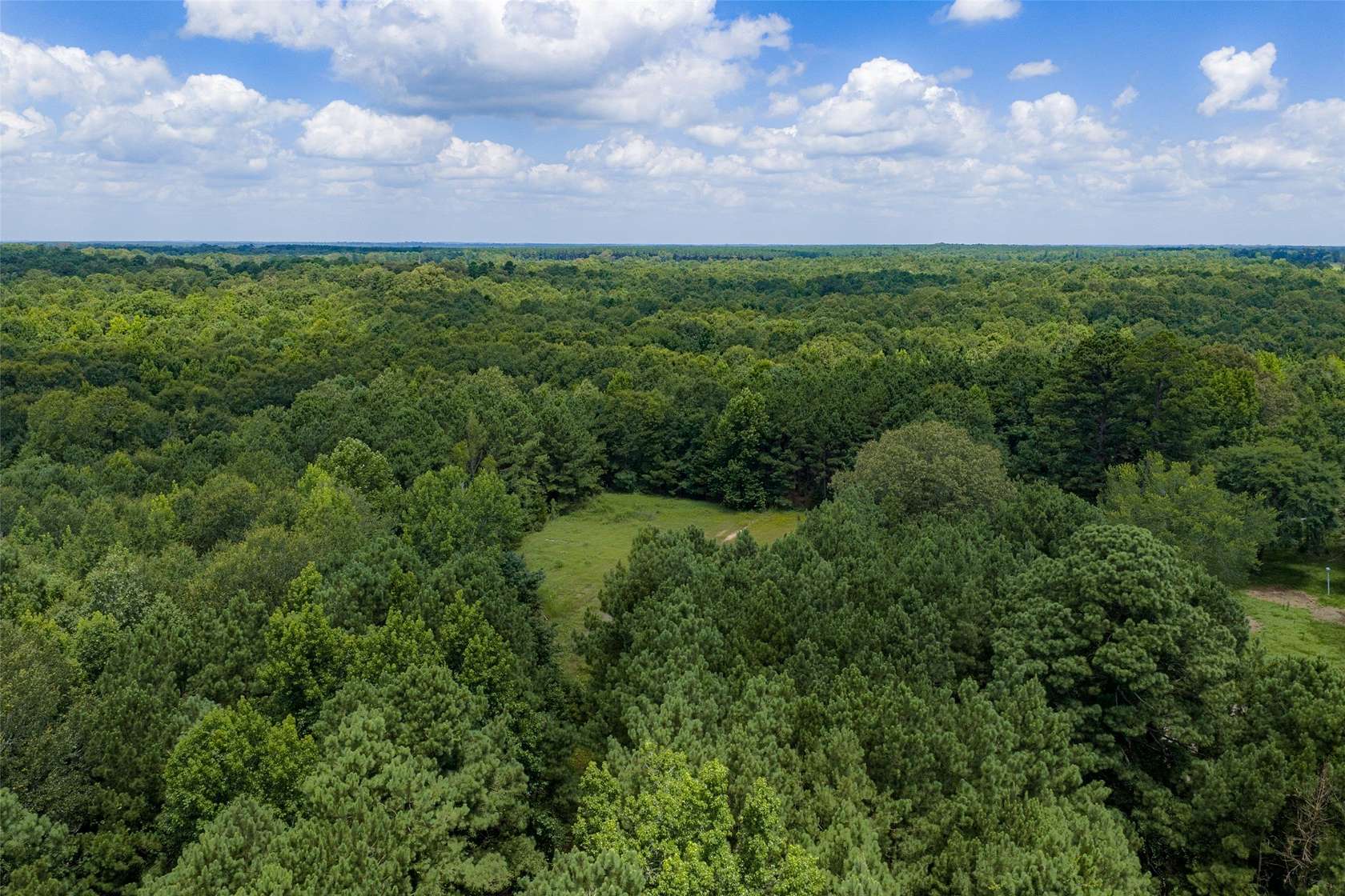 10 Acres of Residential Land for Sale in De Berry, Texas