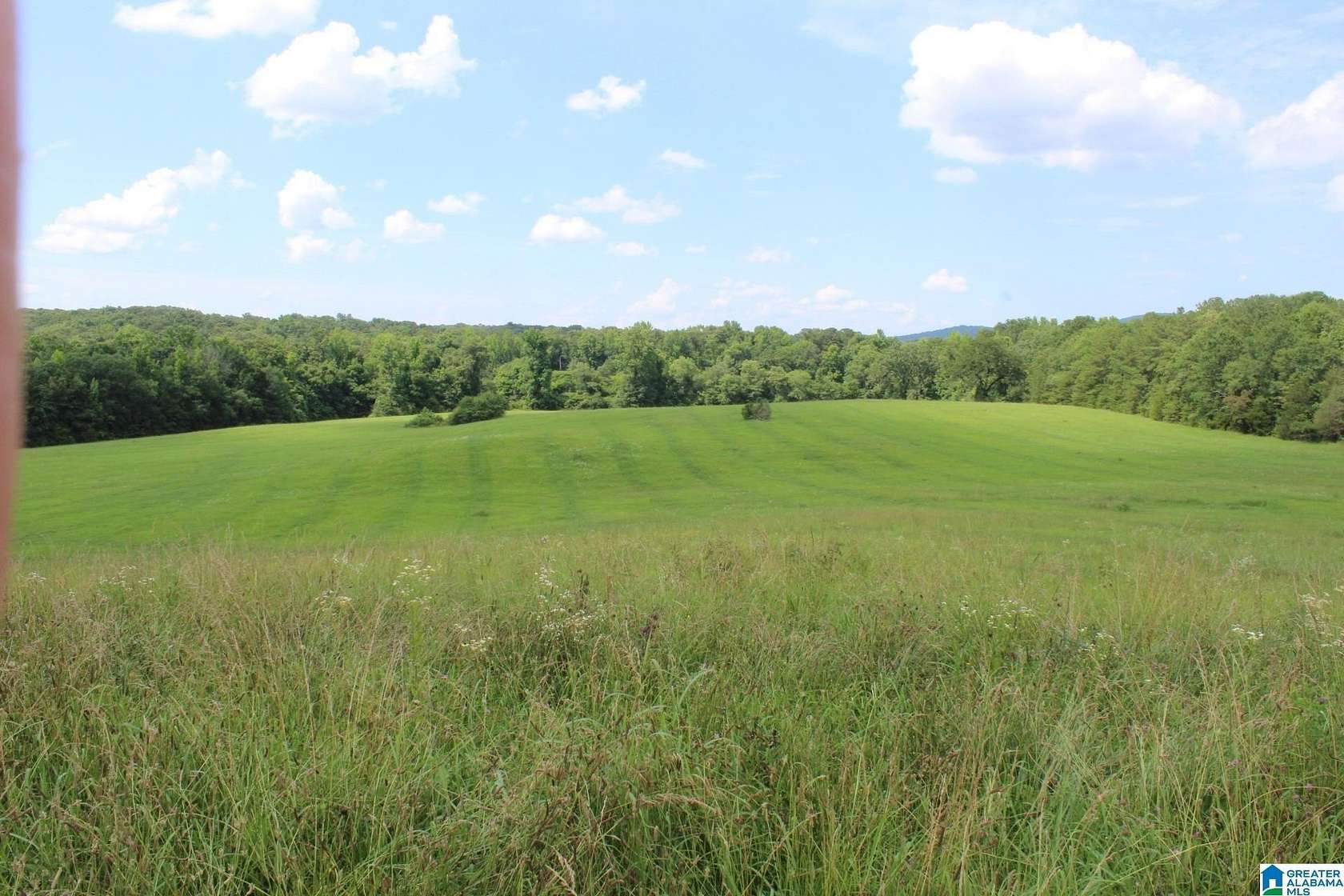 55 Acres of Land for Sale in Munford, Alabama