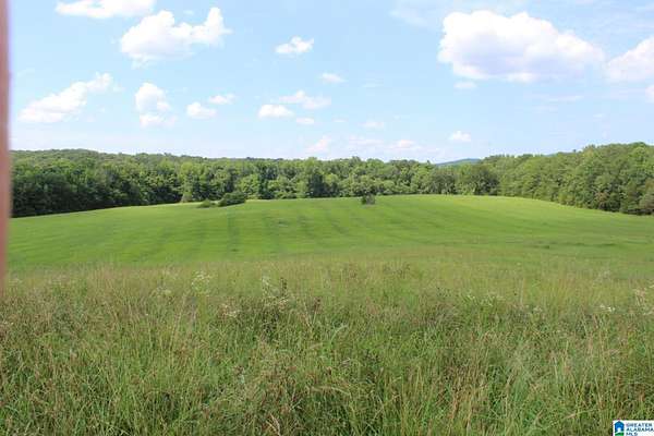 55 Acres of Land for Sale in Munford, Alabama
