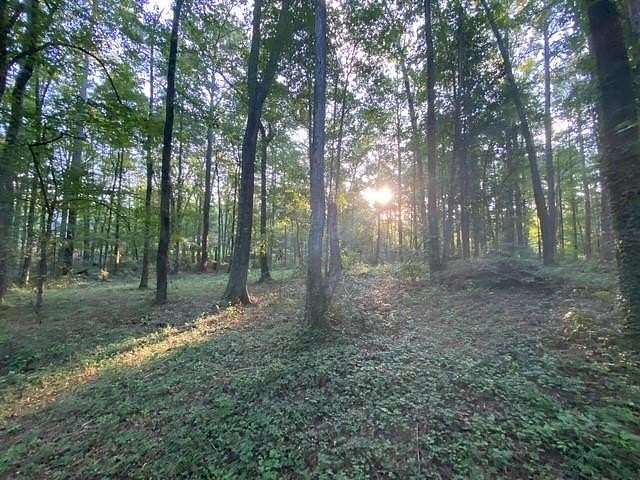 1.6 Acres of Residential Land for Sale in Auburn, Alabama