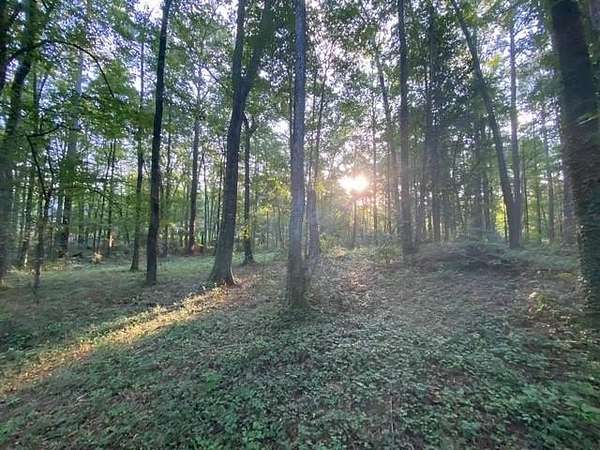 1.6 Acres of Residential Land for Sale in Auburn, Alabama