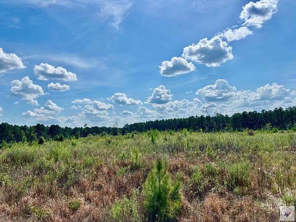 30 Acres of Land for Sale in Bloomburg, Texas