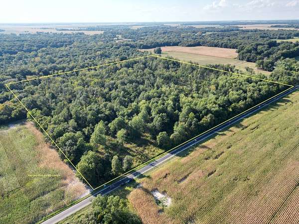 40 Acres of Recreational & Residential Land for Sale in Mulberry Grove, Illinois