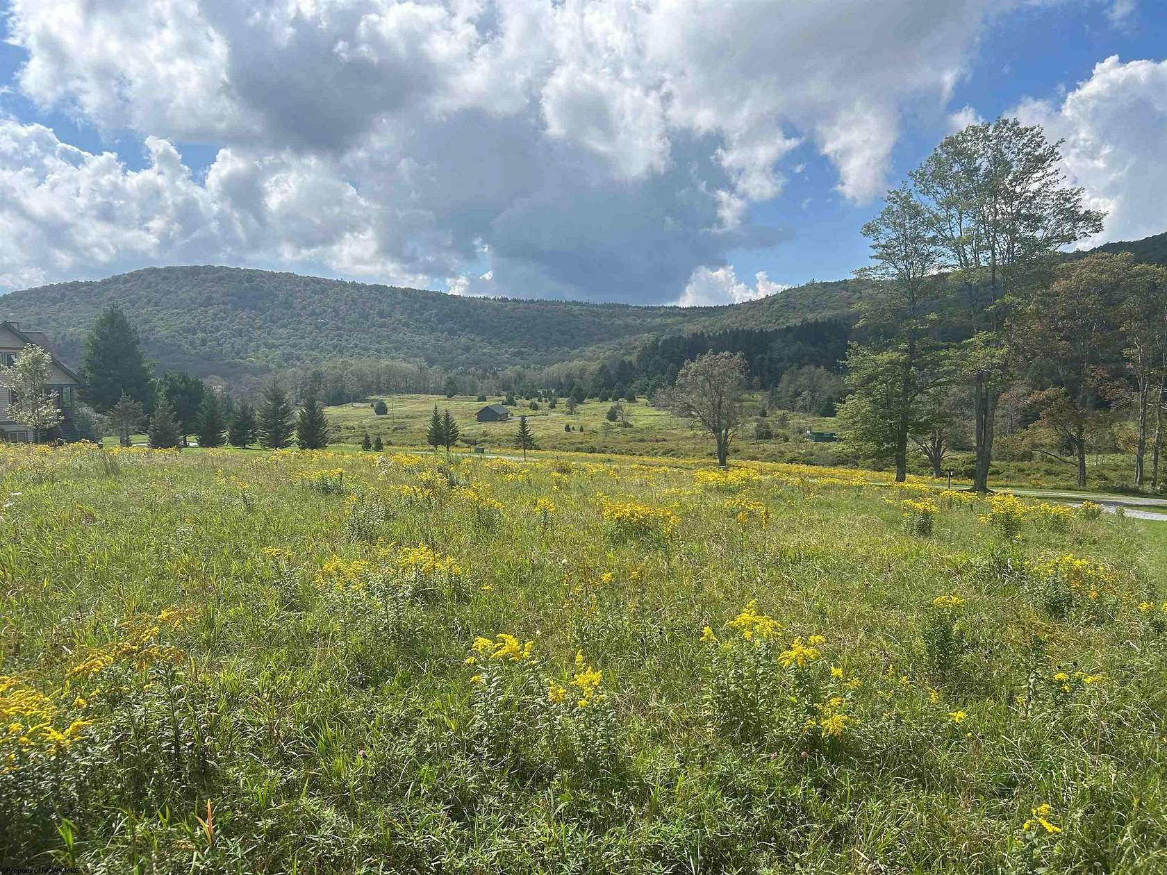 1 Acre of Residential Land for Sale in Davis, West Virginia