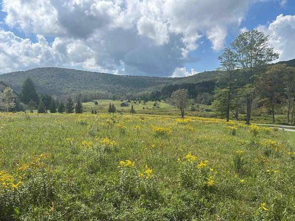 1 Acre of Residential Land for Sale in Davis, West Virginia