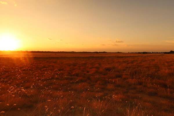 10 Acres of Land for Sale in Lubbock, Texas