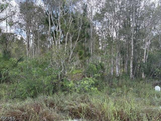 0.35 Acres of Residential Land for Sale in Lehigh Acres, Florida
