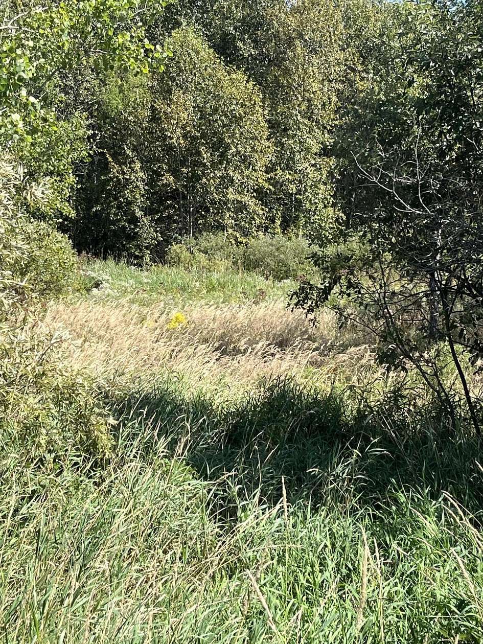 13 Acres of Recreational Land for Sale in Mcmillan Township, Michigan