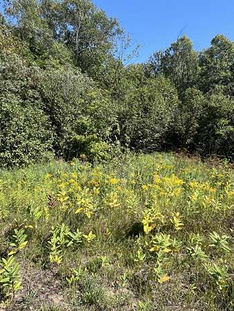 13 Acres of Recreational Land for Sale in Mcmillan Township, Michigan