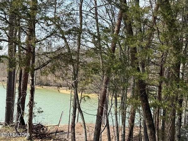 0.96 Acres of Residential Land for Sale in New Tazewell, Tennessee