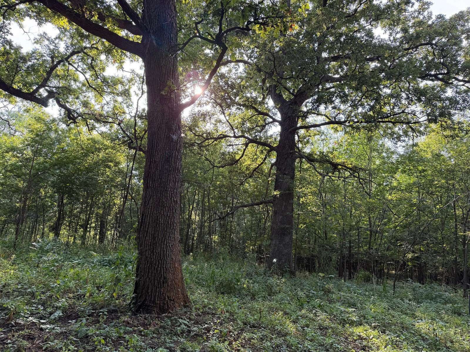 31.7 Acres of Land with Home for Sale in Coffeyville, Kansas