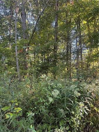 0.4 Acres of Residential Land for Sale in Ellijay, Georgia