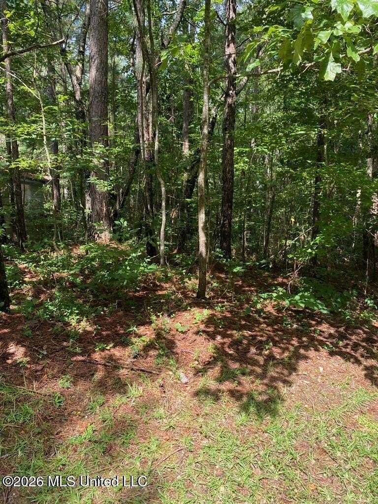 0.2 Acres of Residential Land for Sale in Hattiesburg, Mississippi