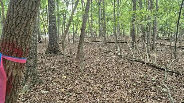0.57 Acres of Residential Land for Sale in Ellijay, Georgia