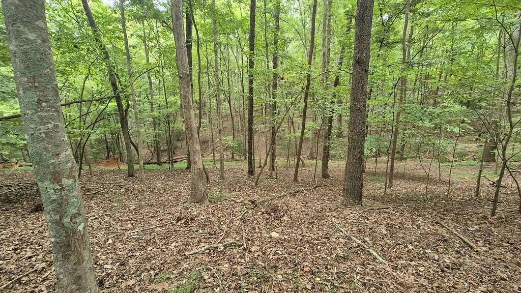 0.39 Acres of Residential Land for Sale in Ellijay, Georgia