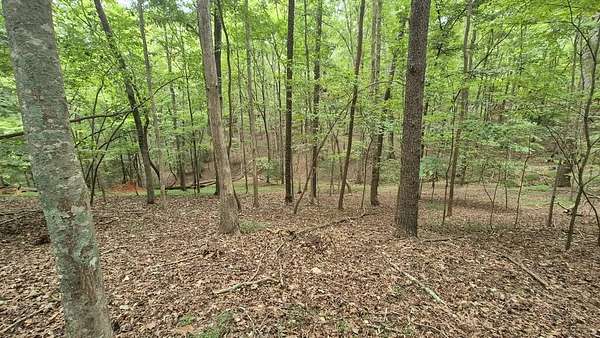 0.39 Acres of Residential Land for Sale in Ellijay, Georgia