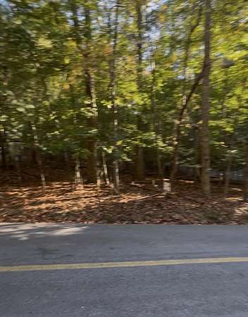 0.4 Acres of Residential Land for Sale in Ellijay, Georgia