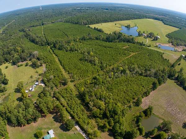 44.2 Acres of Land for Sale in Lufkin, Texas